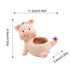 Adorable Piggy Succulent Planter Pot Set