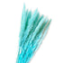 15 Natural Dried Pampas Grass Phragmites for DIY Home and Wedding Decor